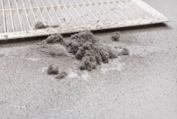 Best HVAC System Cleaning  in Clayco, MO